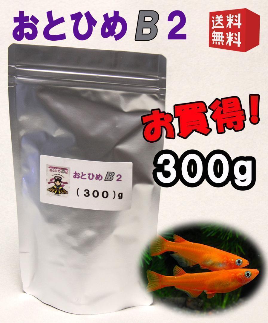 めだか 餌 エサ◇おとひめB２ ３００ｇ◇メダカ えさ◇喰い付き抜群 b203 売買されたオークション情報 落札价格 【au  payマーケット】の商品情報をアーカイブ公開