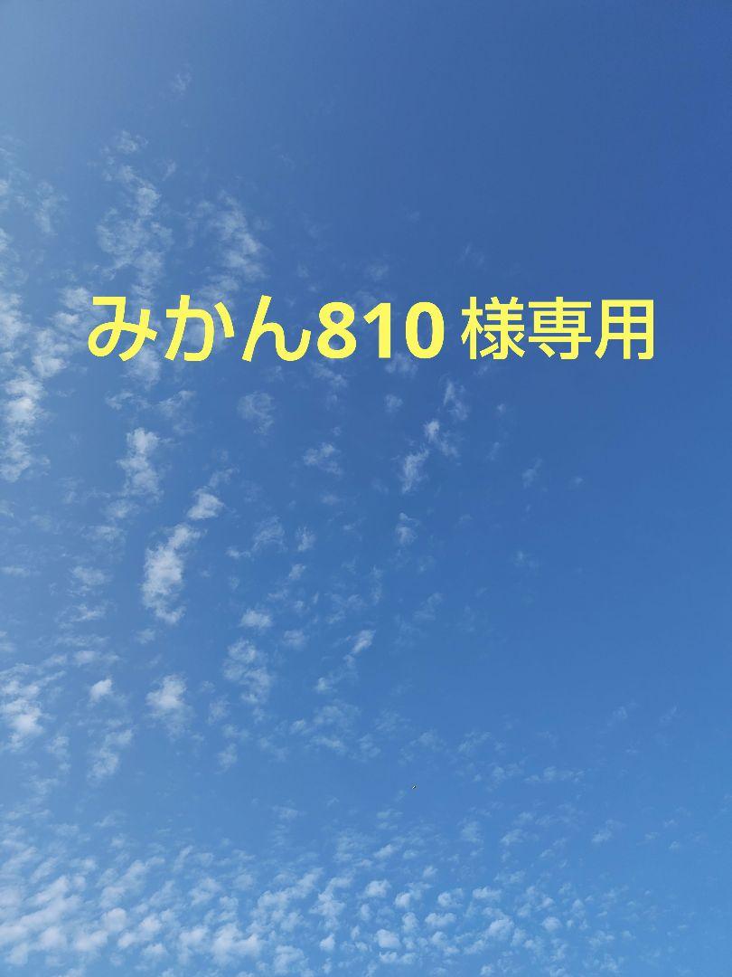 みかん810様専用 ハンカチ ワンコさん柄