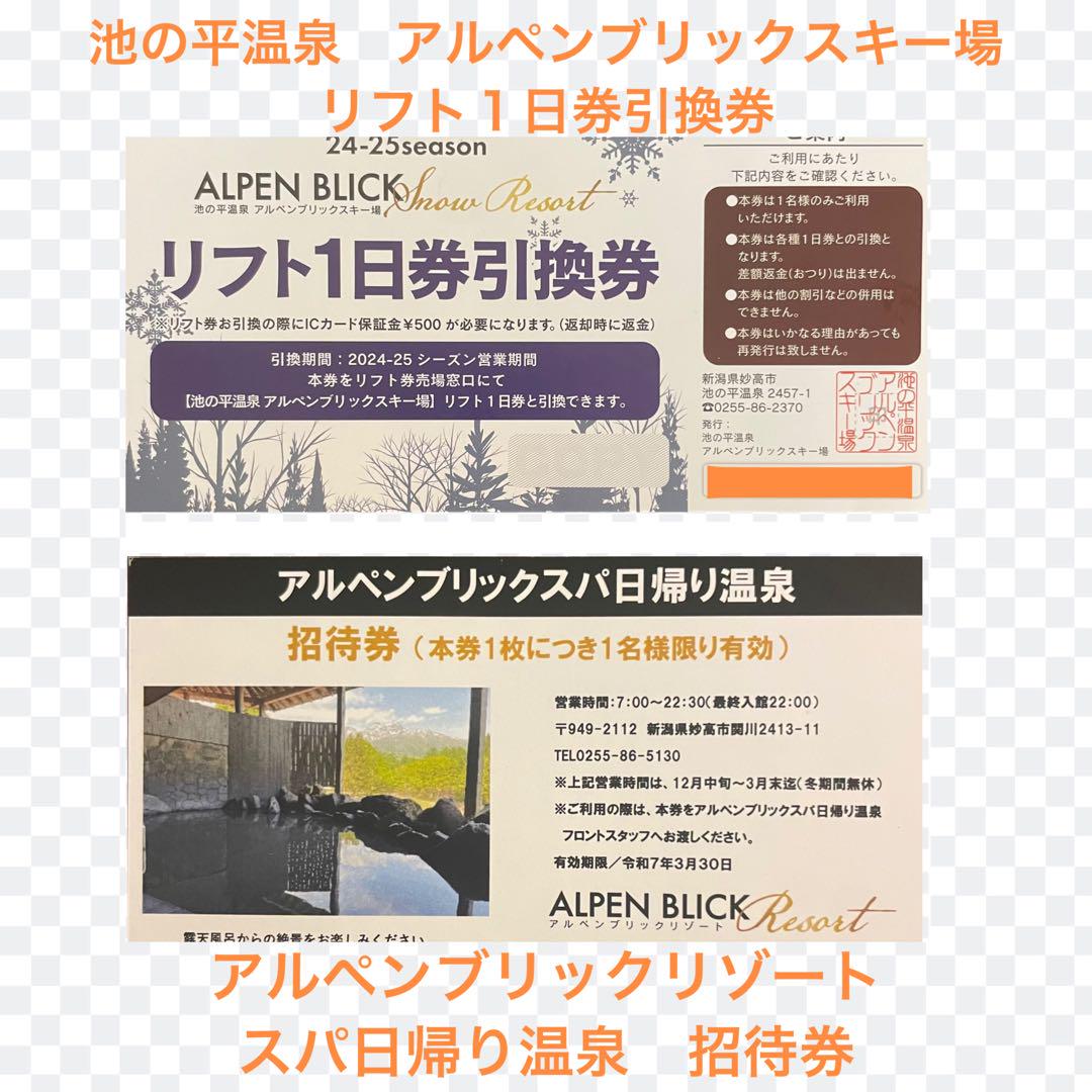 池の平温泉 アルペンブリックリスキー場 リフト１日引換券+スパ日帰り温泉招待