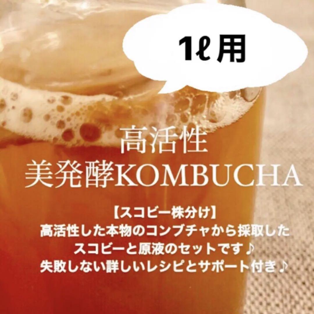 １ 5L用 美発酵コンブチャ スコビー マザー 小さい 詳しいレシピとサポート付き 腸活 売買されたオークション情報 落札价格 【au  payマーケット】の商品情報をアーカイブ公開