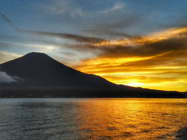 白鳥 写真 インテリア 額装 SEKAIDO まどお 世界堂 谷本正寛 飾り 美術品 風景 動物 売買されたオークション情報 落札价格 【au  payマーケット】の商品情報をアーカイブ公開