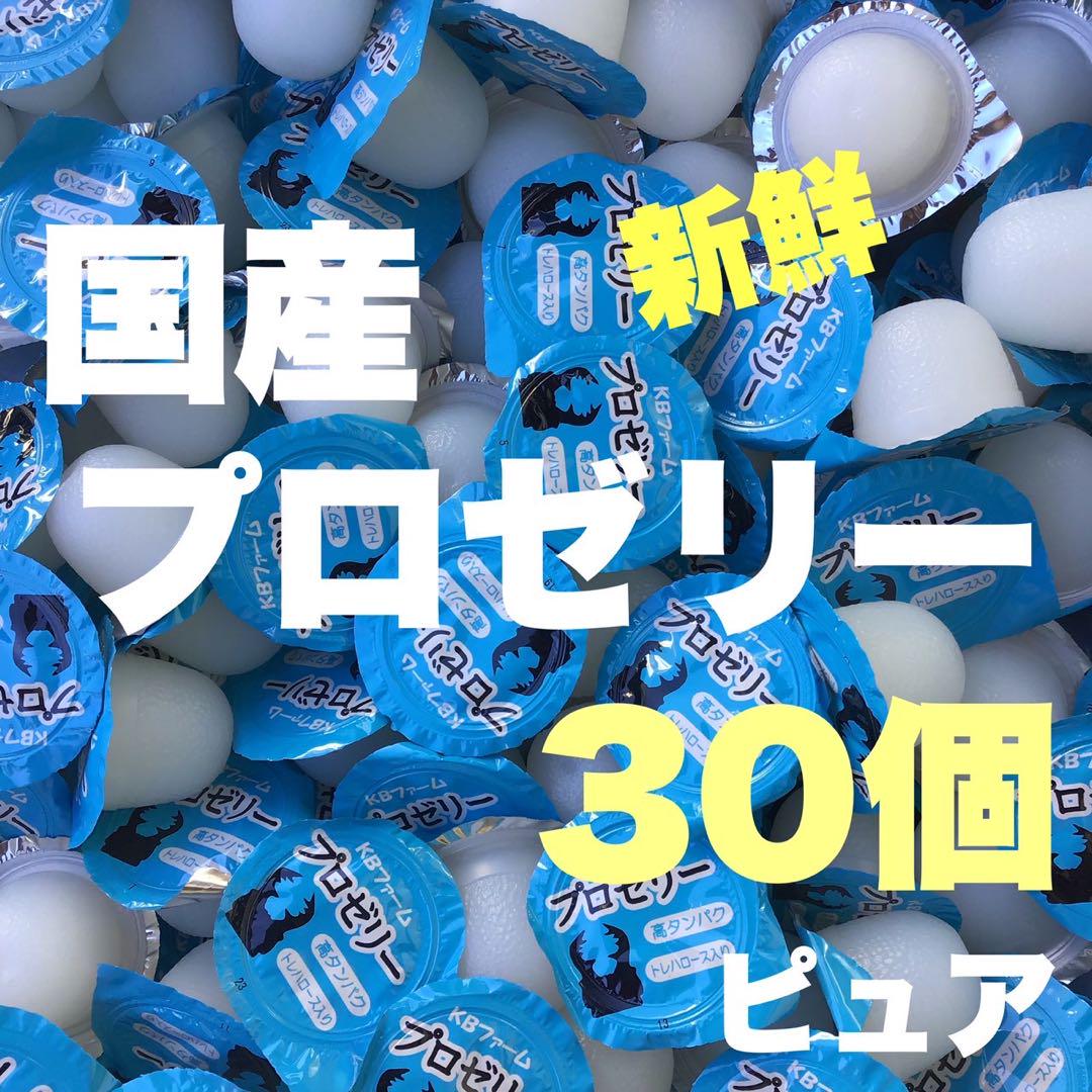 プロゼリー30 昆虫ゼリー クワガタ カブトムシ ハムスター 小動物プロゼリーT 売買されたオークション情報 落札价格 【au  payマーケット】の商品情報をアーカイブ公開