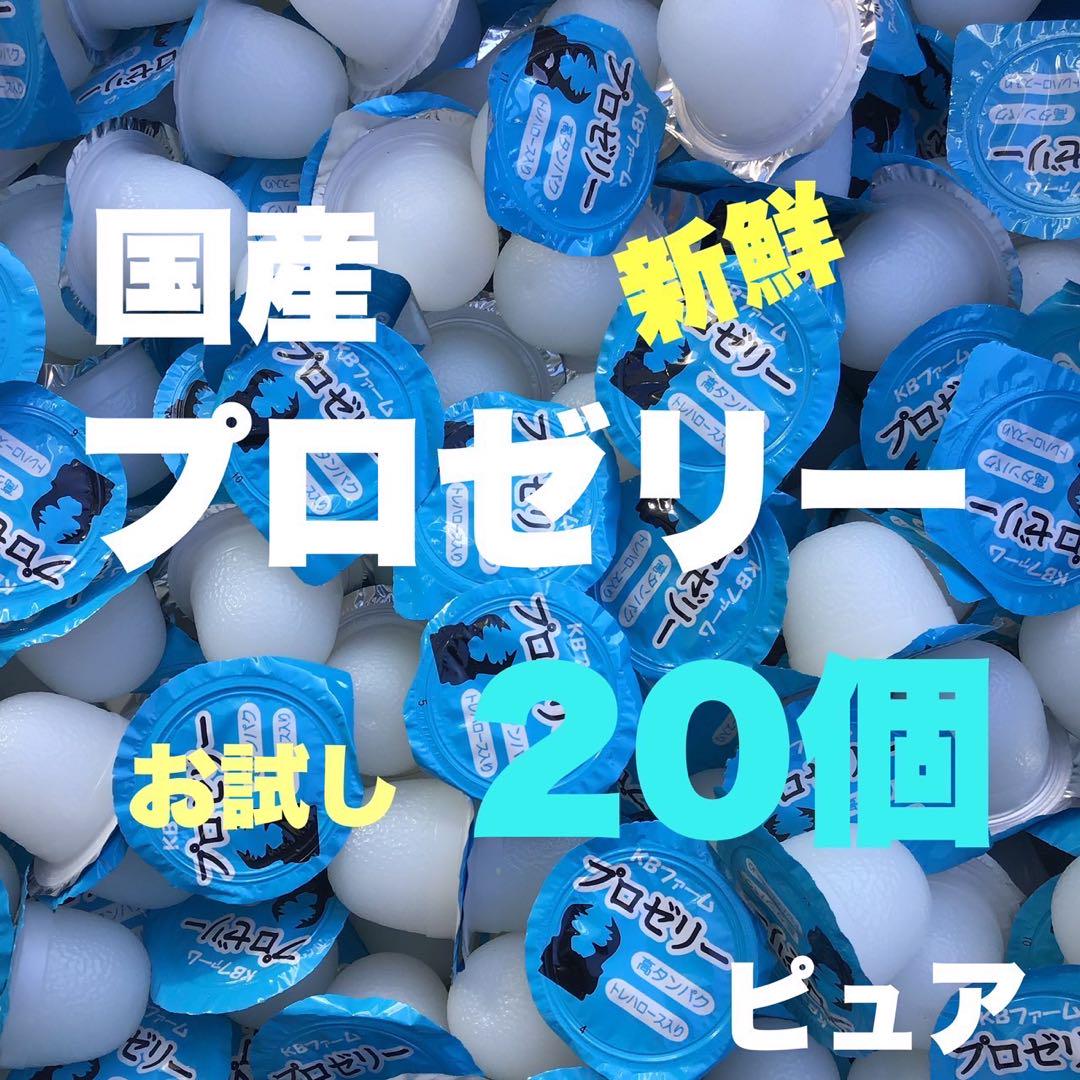 昆虫ゼリー プロゼリー20 クワガタ カブトムシ ハムスター モモンガ小動物 M 売買されたオークション情報 落札价格 【au  payマーケット】の商品情報をアーカイブ公開