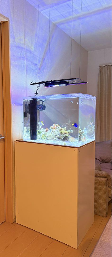 600×300×360オールガラスオーバーフロー水槽 輝かしい セット