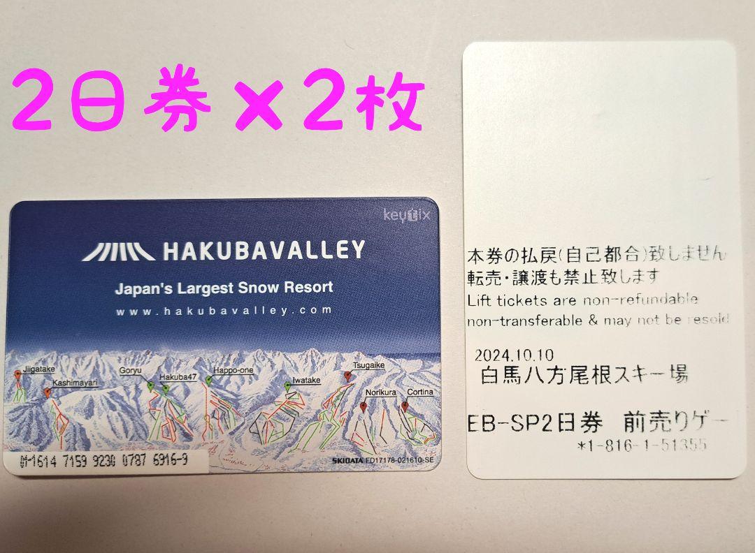 苗場かぐらスキー場 共通リフト引換券3 枚 さり気 1日券x2日分×3 売買されたオークション情報 落札价格 【au  payマーケット】の商品情報をアーカイブ公開