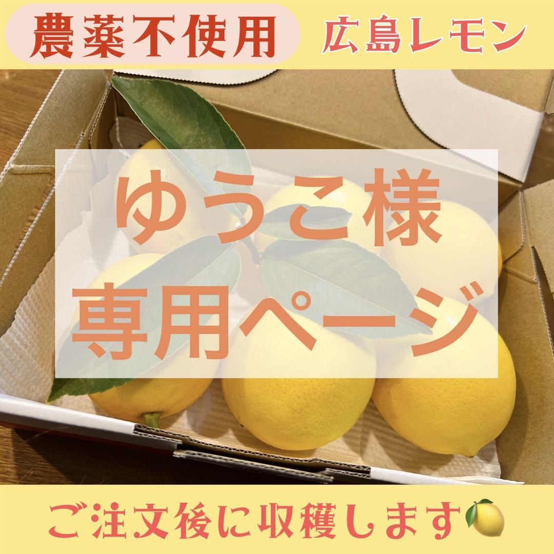 みかんさま専用ページ みかんさま専用ページ