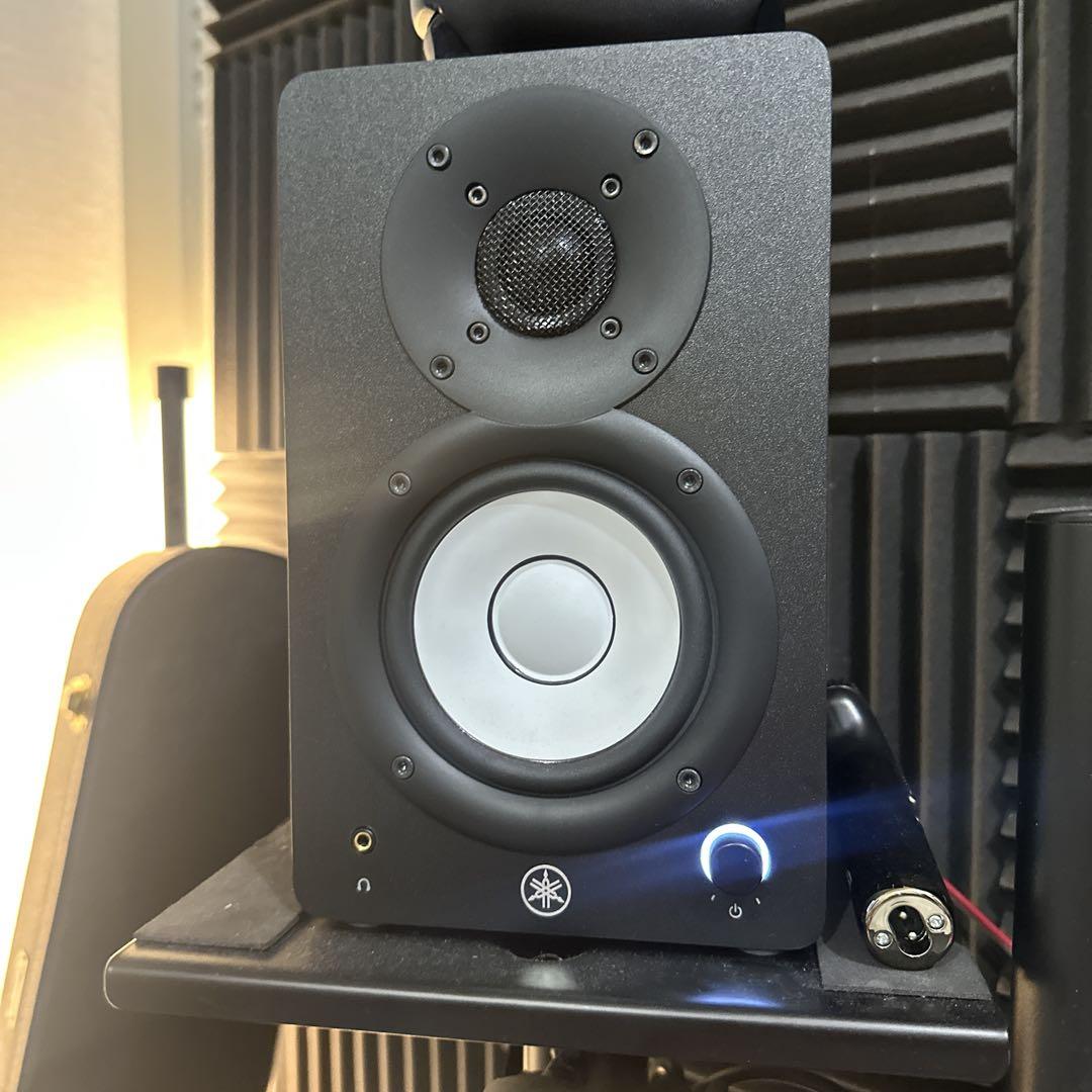 Lupinus Audio AMT-TP2スーパーツイーター Lupinus Audio AMT-TP2 第2世代 スーパーツイーター ペア 5段階