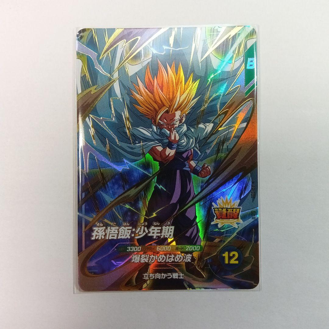 ドラゴンボールダイバーズEXR 孫悟飯