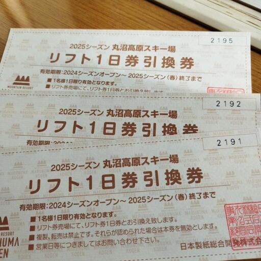 リフトゴンドラ1日券×4回分 Mt.Naeba 2025年 丸沼高原スキー場 リフト1日券引換券 （丸沼高原1日券引換券）