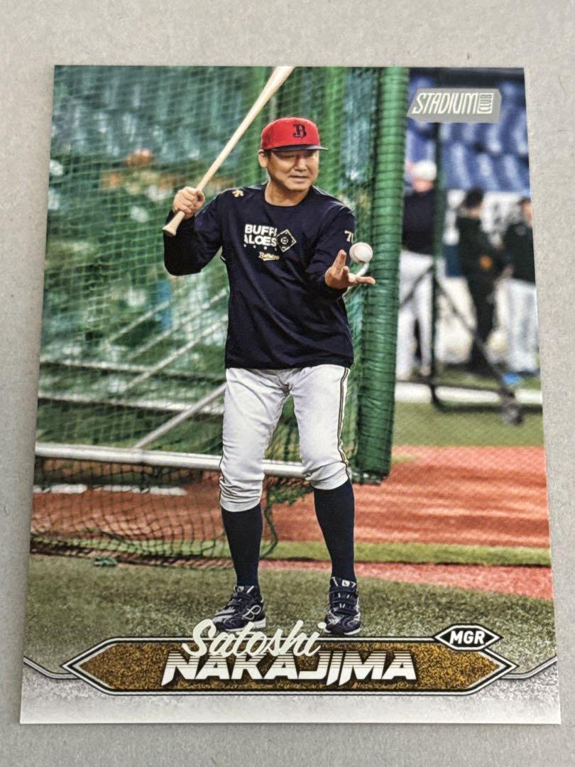 日本ハムファイターズ Interleague、 ファイターズInterleague