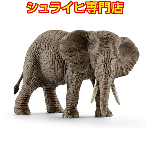 【ラッピング不可】 シュライヒ専門店】シュライヒ 動物 14763 仔 アフリカ象 その他