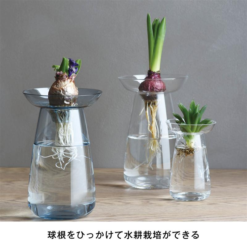 ベルメゾン キントーKINTO 水耕栽培が愉しめる花瓶「AQUA CULTURE VASE」 クリア 「 クリア ブルー グレー 」◇ L ◇  売買されたオークション情報 落札价格 【au payマーケット】の商品情報をアーカイブ公開