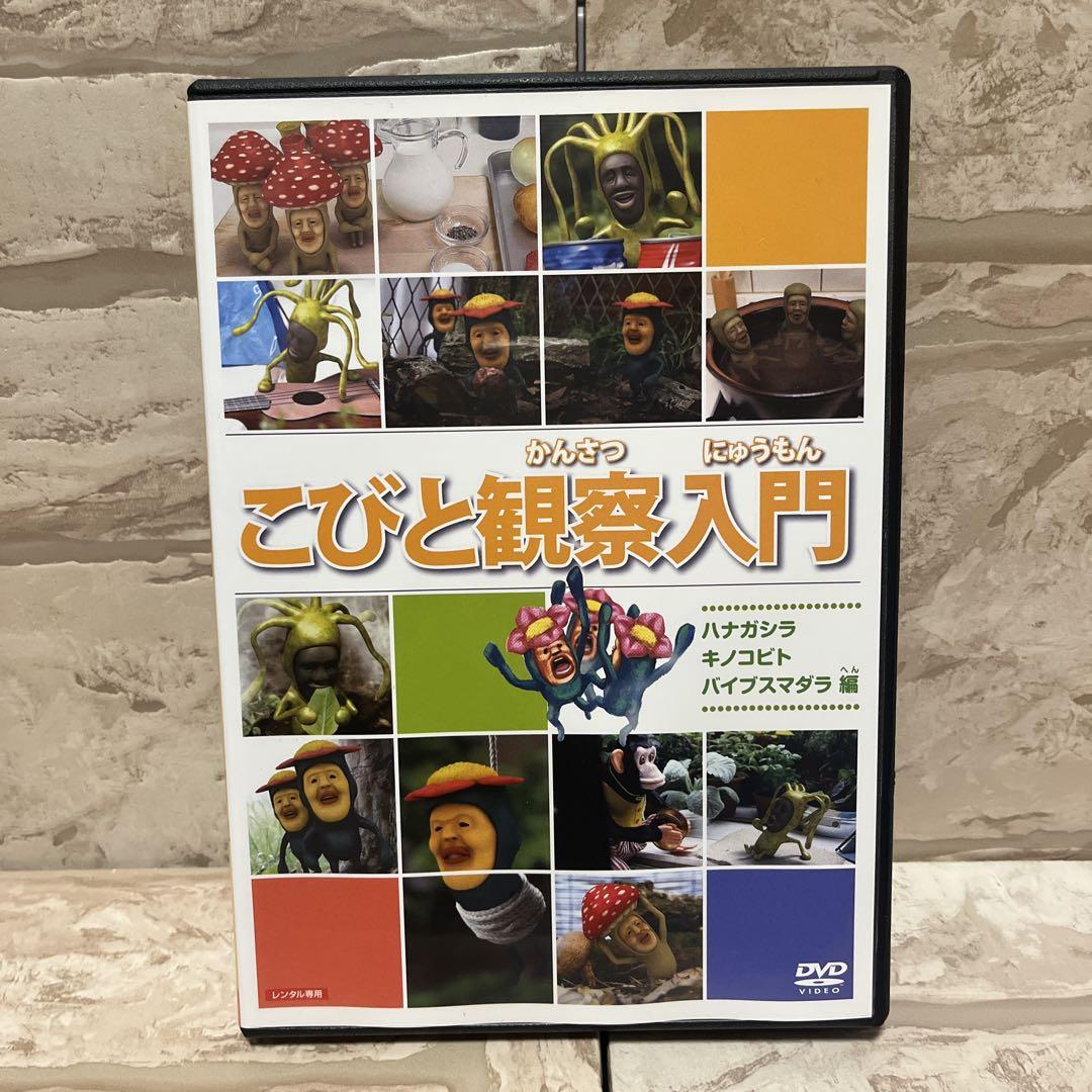 こびとづかん DVDこびと観察入門 済まない DVD