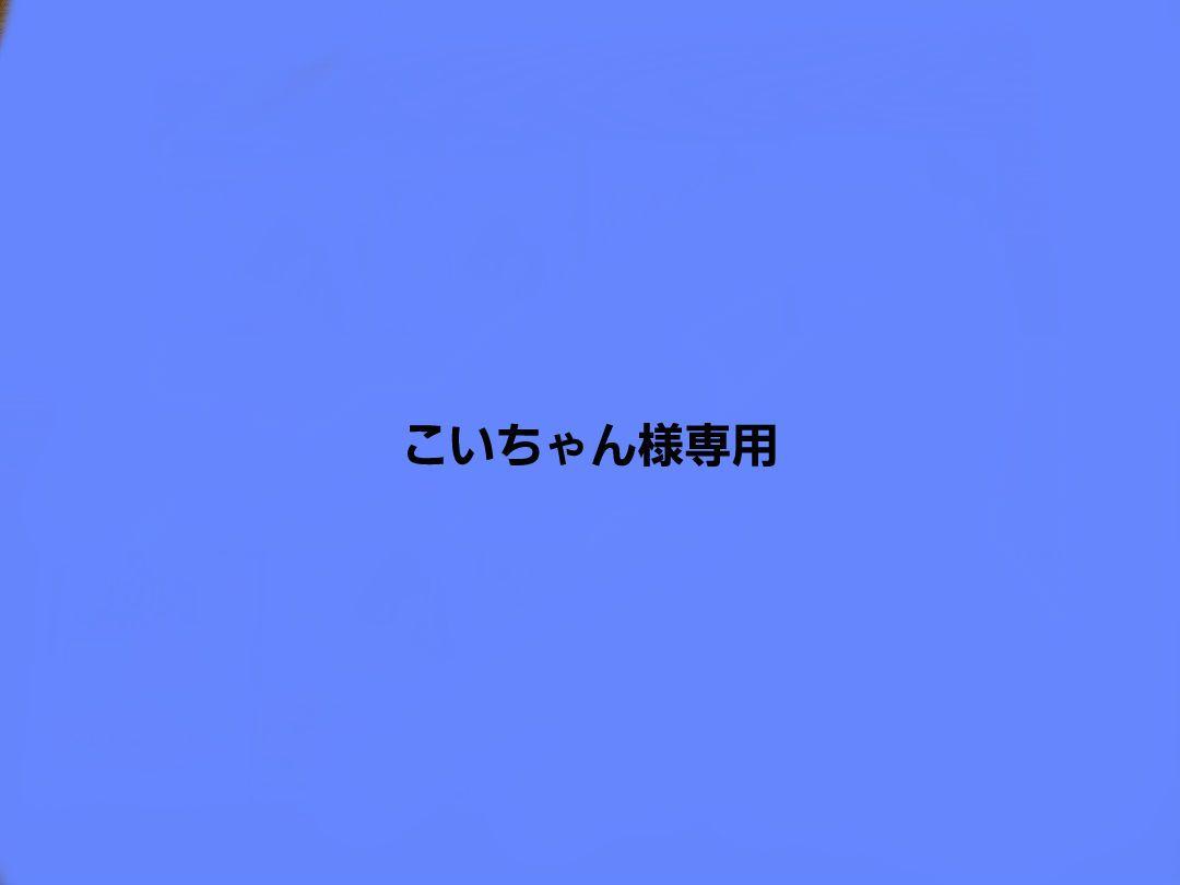 フィリックスパウチ 塩辛 モンプチ ピュリナおまとめ こいちゃん様専用