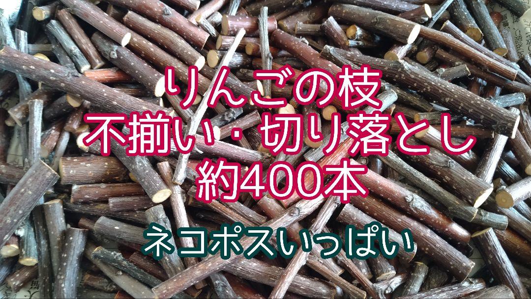 かじり木 りんごの木 訳あり60本 しわっ