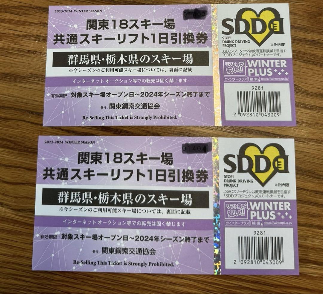 関東18スキー場 共通スキーリフト1日引換券 2枚