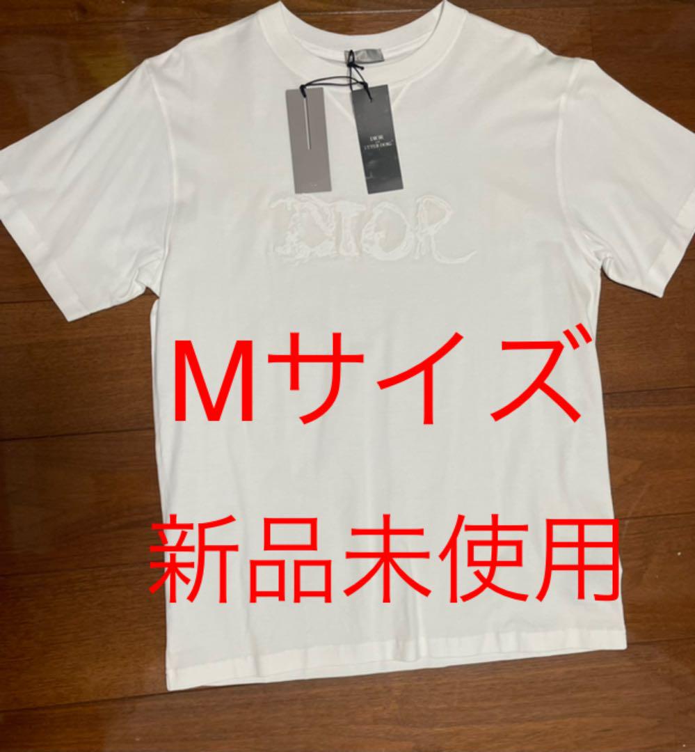 値下げ‼️ DIOR AND PETER DOIG オーバーサイズTシャツ