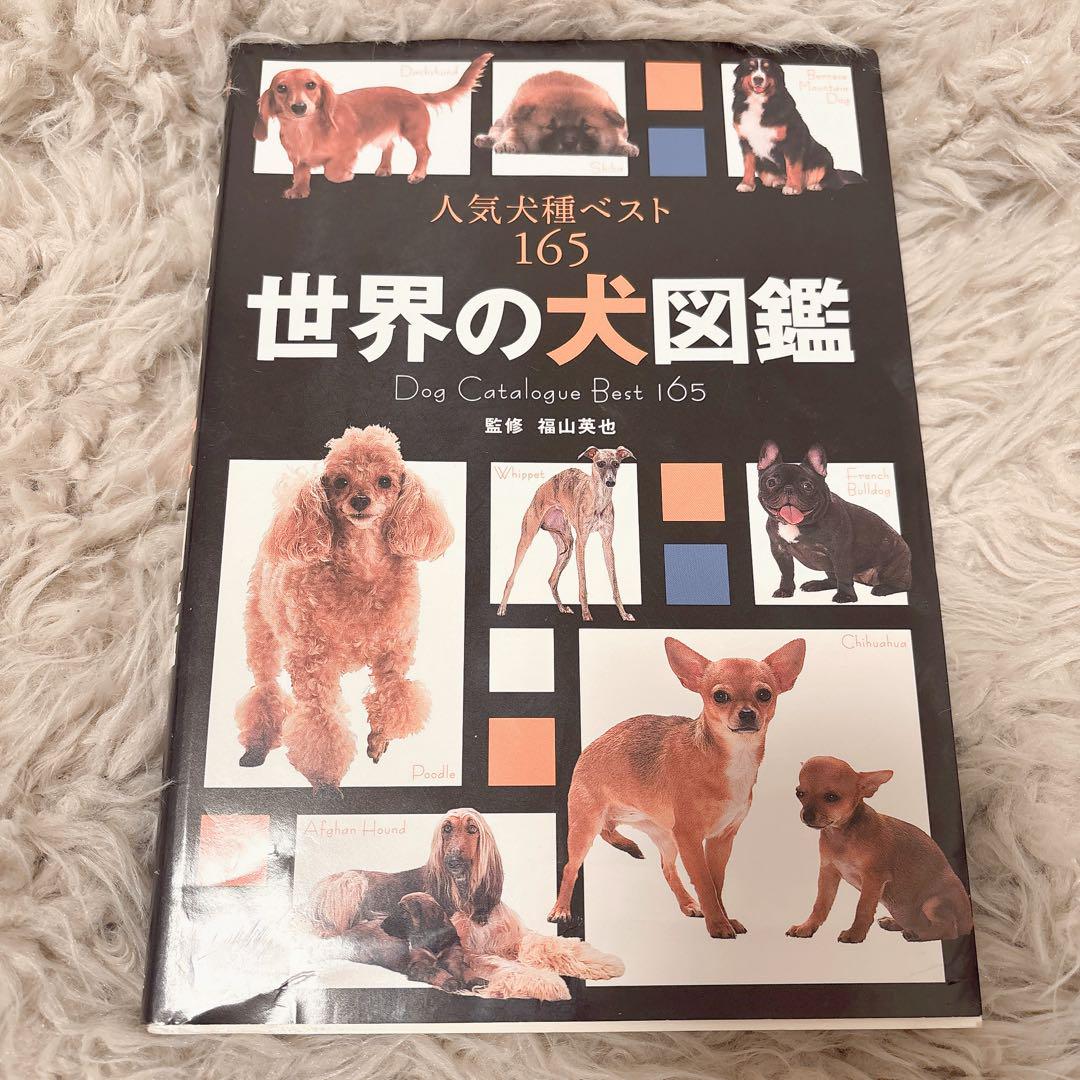 世界の犬図鑑 可愛 Dog Catalogue Best 165