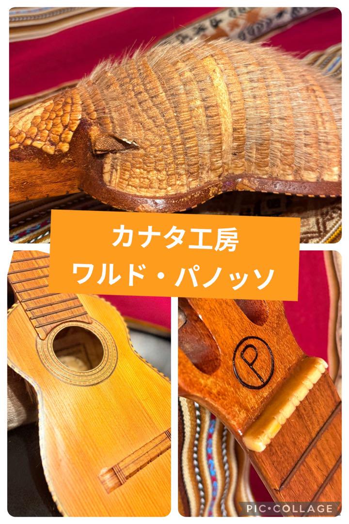 チャランゴ アルマジロ キルキンチョ カナタ ワルドパノッソ charango