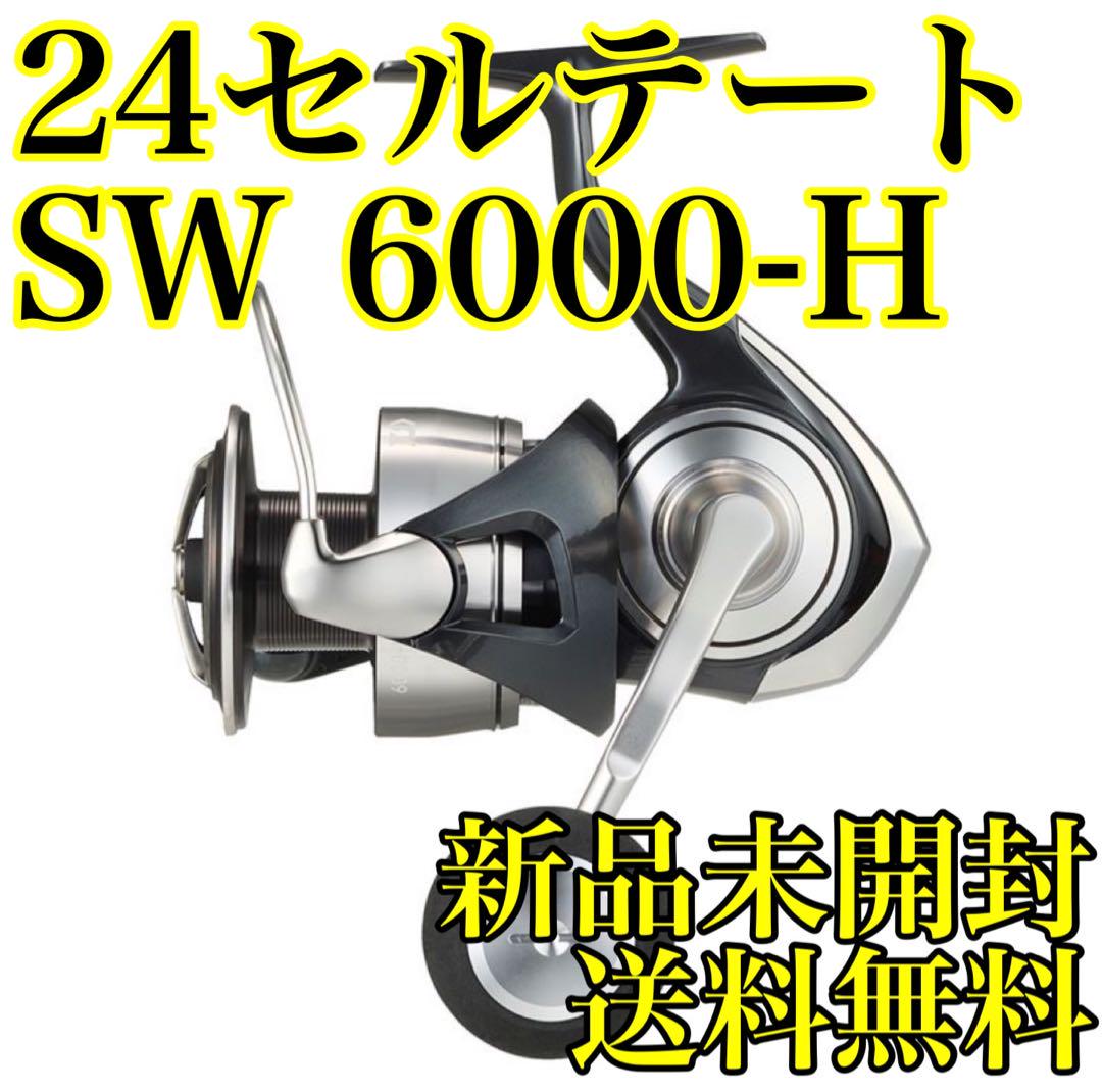 ダイワ スピニングリール セルテート SW 6000-H 24年モデル