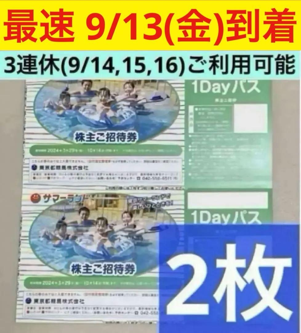 サマーランド】 1Dayパス 少なかれ 2枚(2名分) 株主ご招待券 フリーパス 匿名