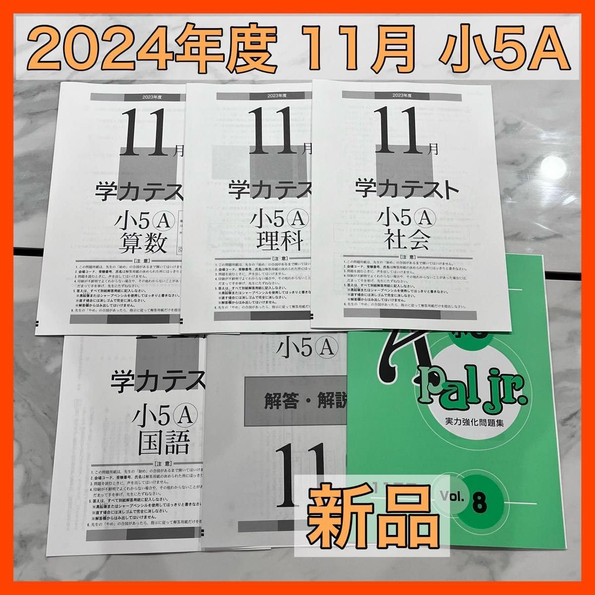 育伸社 学力テスト 2024年 11月 小学5年 A 4科 解答解説つき 売買されたオークション情報 落札价格 【au  payマーケット】の商品情報をアーカイブ公開