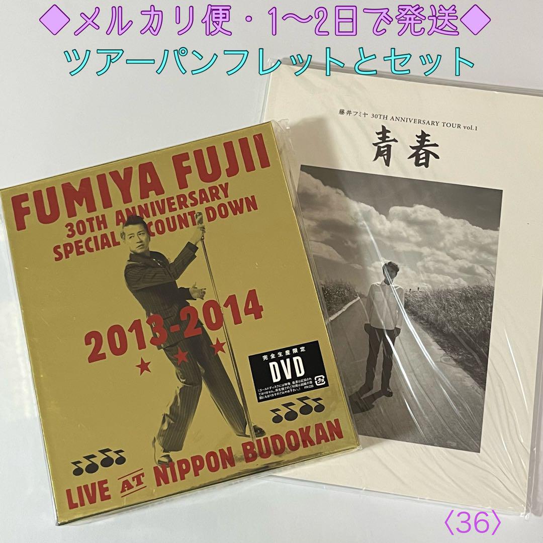 藤井フミヤ DVD 30周年 カウントダウンライブ ツアーパンフレットセット 売買されたオークション情報 落札价格 【au  payマーケット】の商品情報をアーカイブ公開