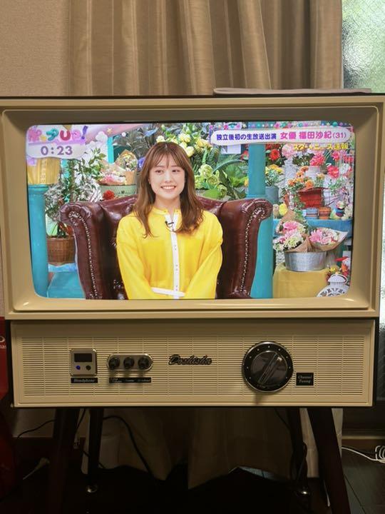 ドウシシャ 液晶レトロ風テレビ VT203-BR ダサい