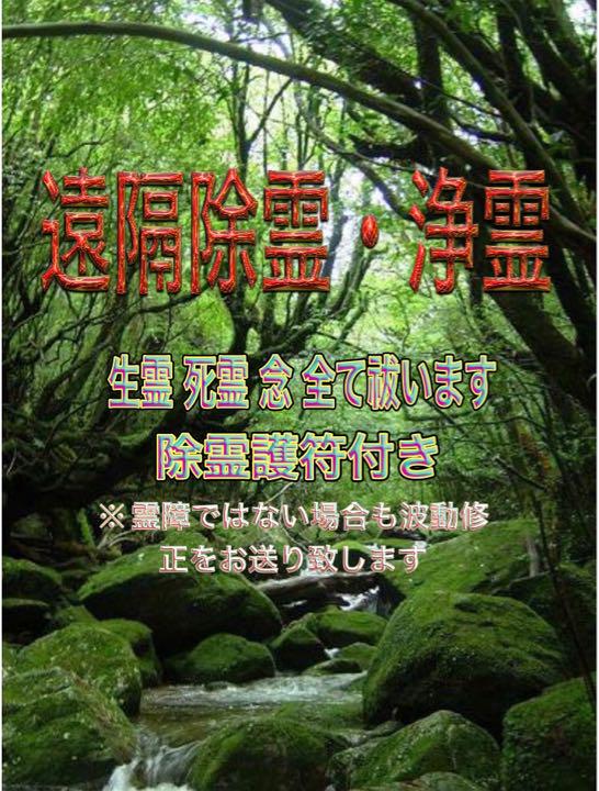 遠隔浄霊 除霊護符一枚付き❗️ 物悲しい