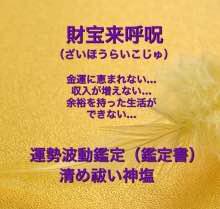 財宝来呼呪 財運を上げたい方#占い 運勢波動鑑定書・護神