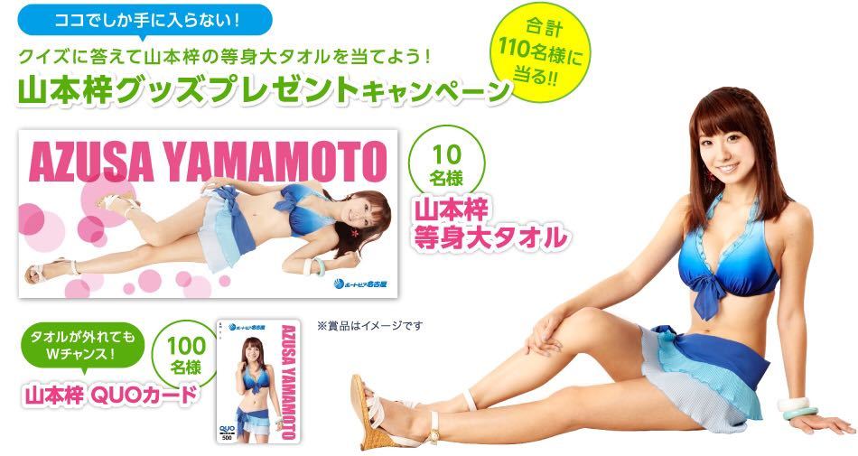 山本梓 等身大タオル 売買されたオークション情報 落札价格 【au payマーケット】の商品情報をアーカイブ公開