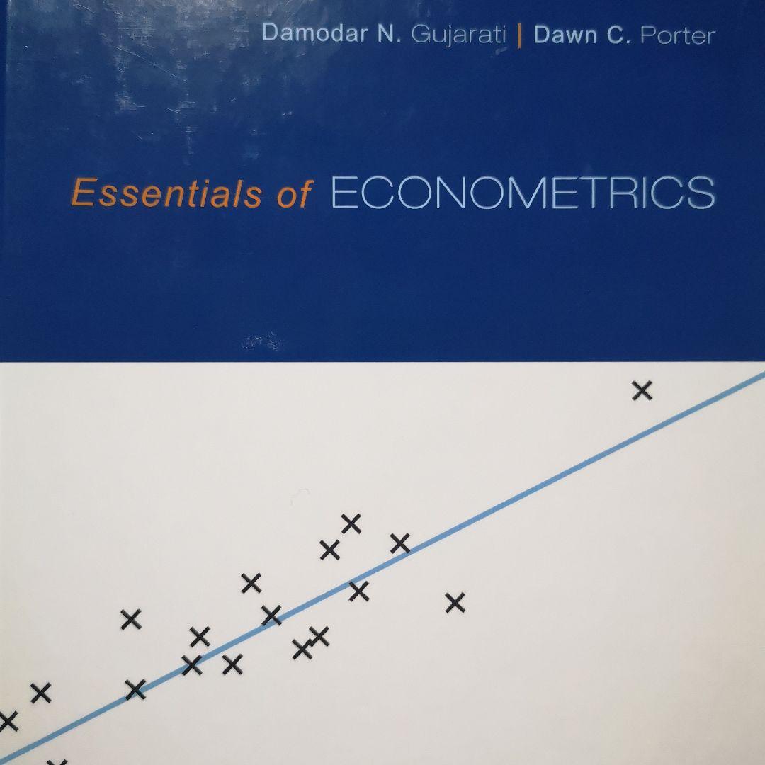 Essentials 強かっ of ECONOMETRICS 計量経済学洋書テキスト