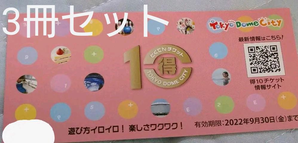 東京ドームシティ 得10チケット3冊セット