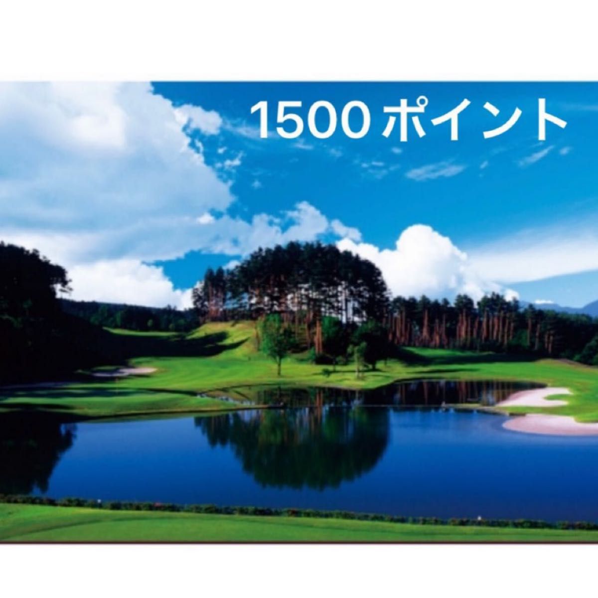 シャトレーゼゴルフ セルフ無料プレー券1500ポイント1枚