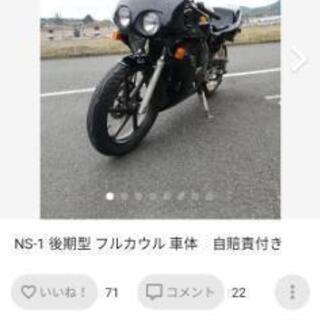 NS1 フルカウル 惜し 自賠責付き