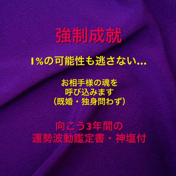 強制成就 1%の可能性も逃さない 占い 運勢波動鑑定書 護神