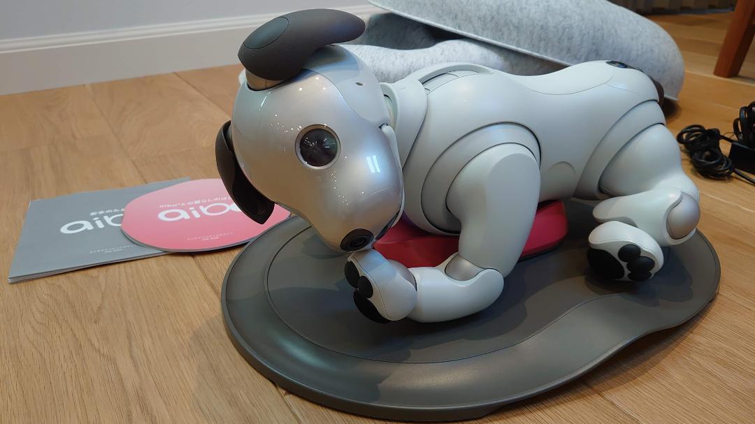 SONY aibo ソニーアイボ ERS-1000