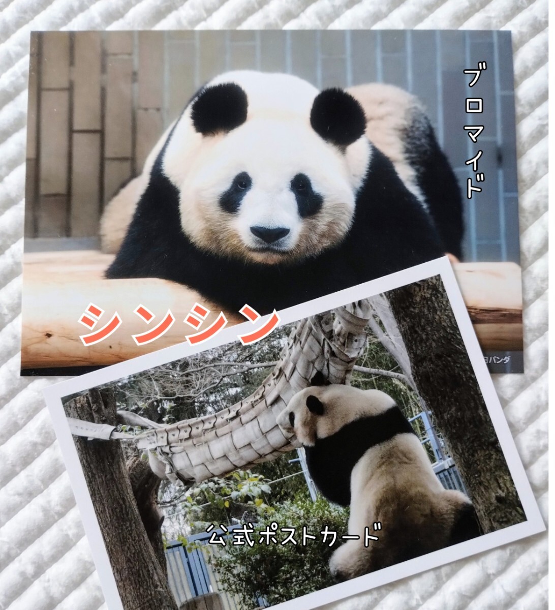 全ての タンタンとの思い出寄せて☆再販されるも即完売☆フレーム切手 パンダ一般
