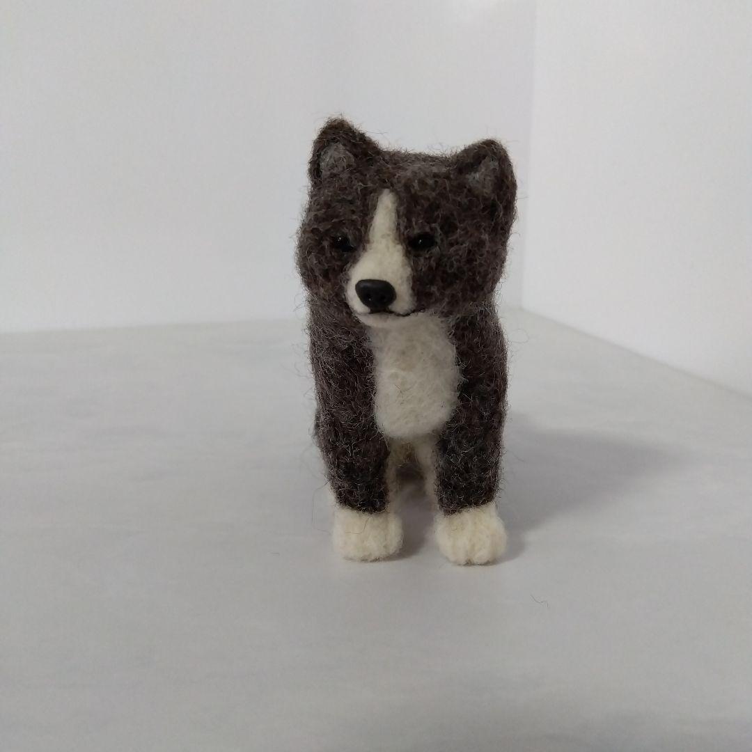 羊毛フェルト 柴犬 おすわり舌出し 羊毛フェルト masapan 通販