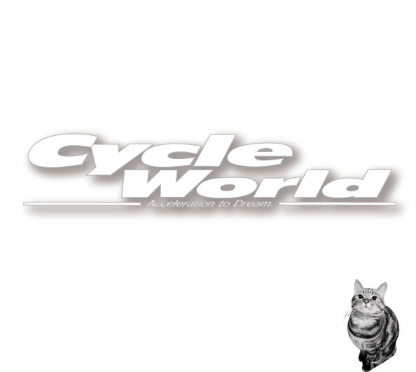 ☆【オーダー専用ページ】お取り寄せ専用ページ サイクル