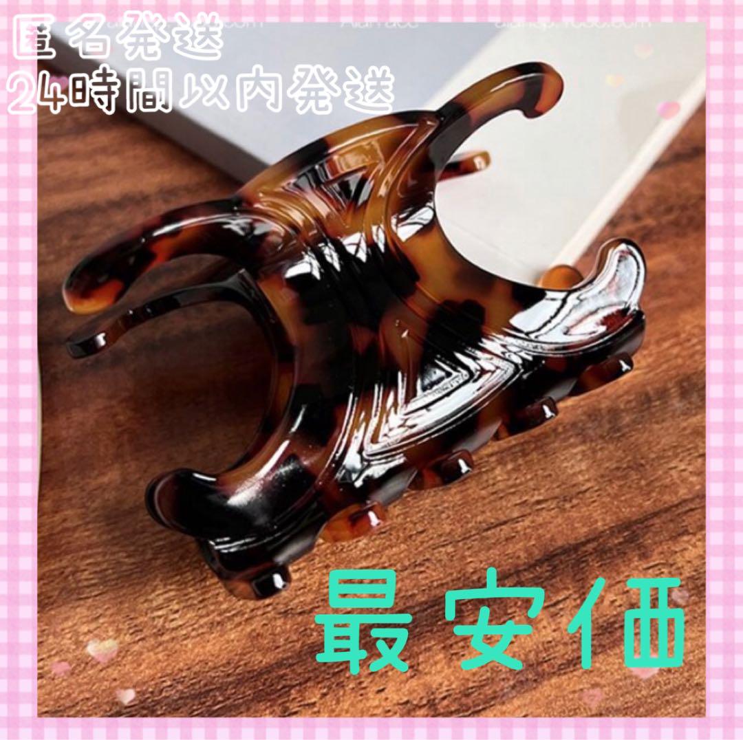 新品未使用べっ甲柄 髪留め ヘアクリップ ヘアアクセヘアピン 韓国 トリオンフ 売買されたオークション情報 落札价格 【au  payマーケット】の商品情報をアーカイブ公開