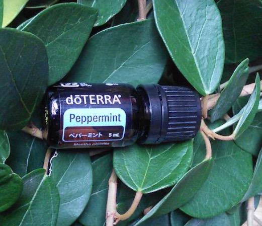 人気ブランド 海外通販 - 国内入手困難 ドテラ フランキンセンス15ml ペパーミント5ml新品未開封 エッセンシャルオイル