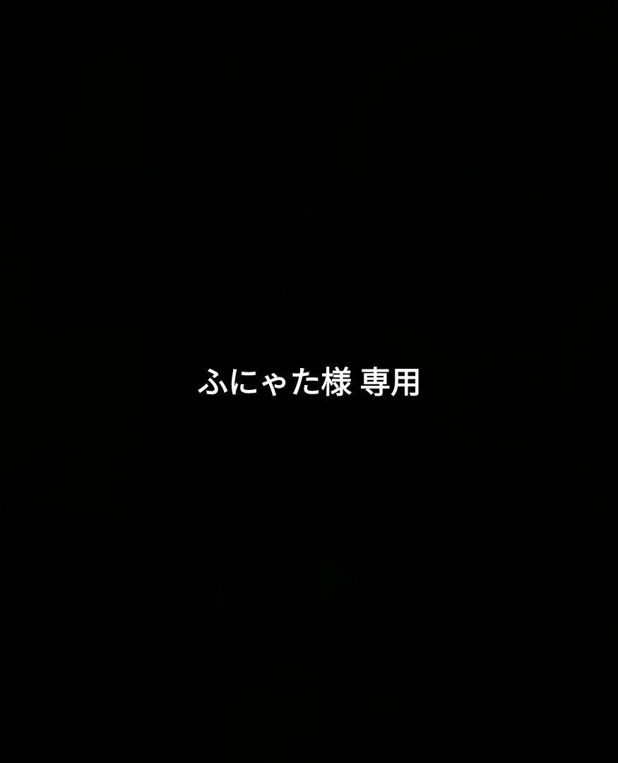 ふにゃた様 果てしない 専用