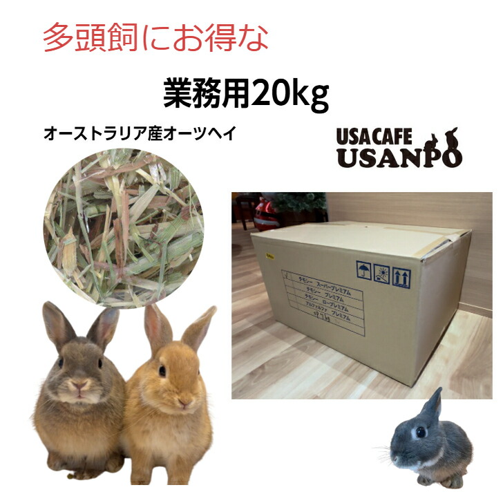 オーストラリア産 オーツヘイ 業務用 牧草 20kg 草食動物