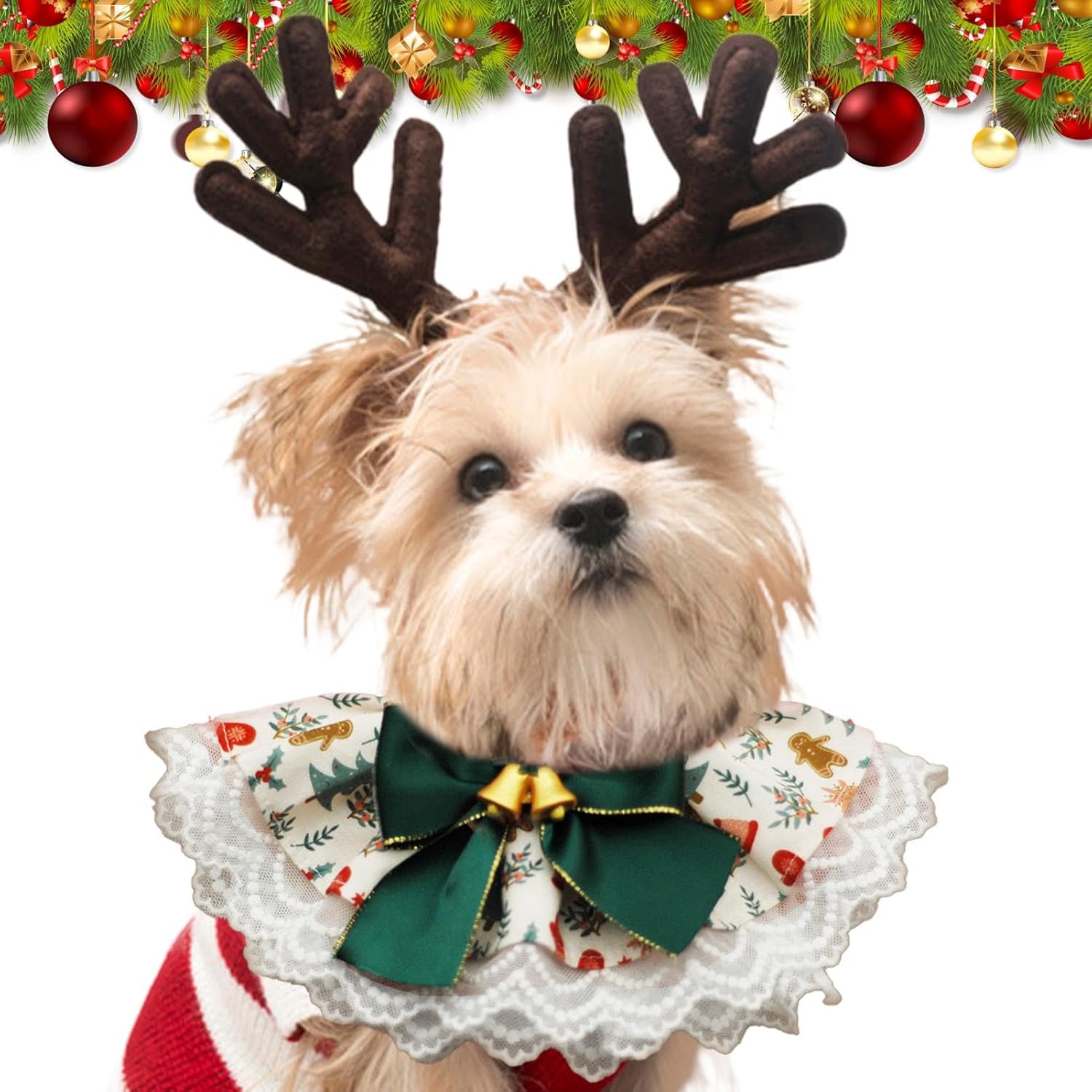 休日用犬よだれかけ、ペット用クリスマスよだれかけ | 調節可能な犬用 ..., 画像サイズ:1500x1500