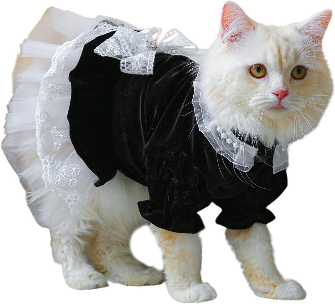 犬猫ドレスコスチュームペット服衣装レース装飾アパレル女の子猫 amp ..., 画像サイズ:1385x1258