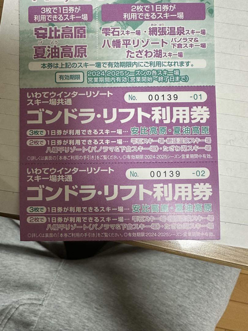 ゴンドラ・リフト利用券 2枚綴り 味わい深