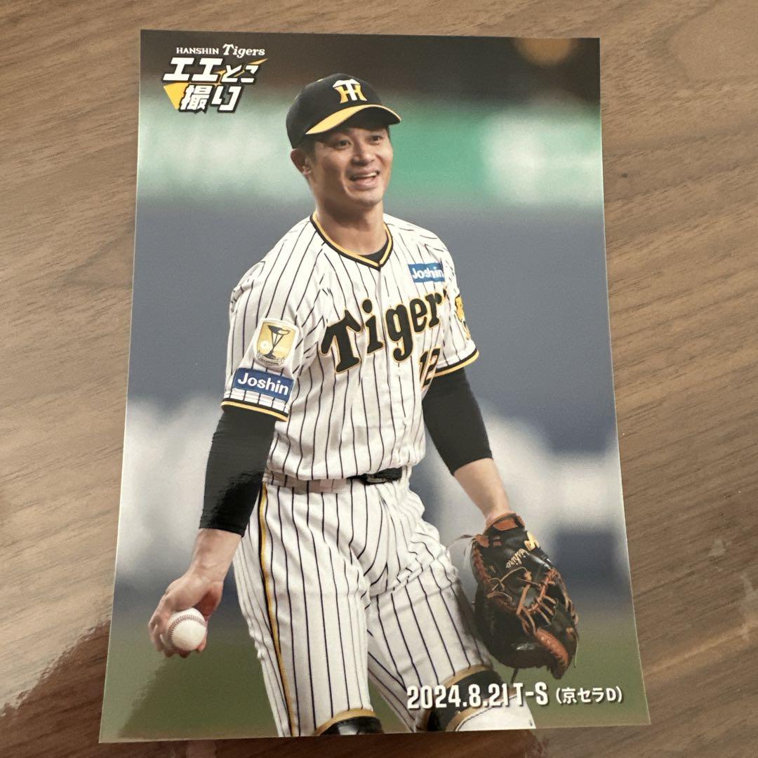 阪神タイガース 坂本誠志郎 直筆サイン入り 忌み嫌わ BBM 2022