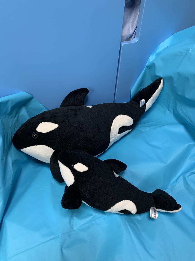 最後の出品です⁺˳✧༚名古屋港水族館シャチのクーちゃん₊