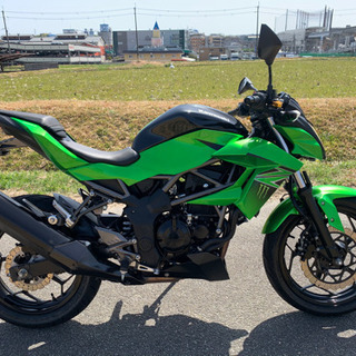 大人気の‼️ストリートファイター‼️Z250‼️